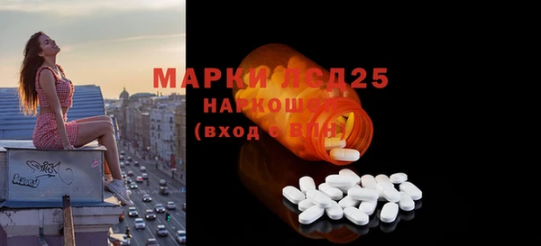 ГАЛЛЮЦИНОГЕННЫЕ ГРИБЫ Вязники