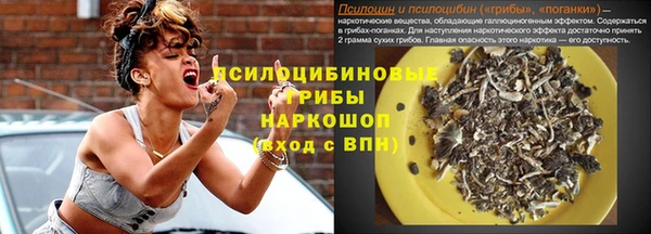ГАЛЛЮЦИНОГЕННЫЕ ГРИБЫ Вязники