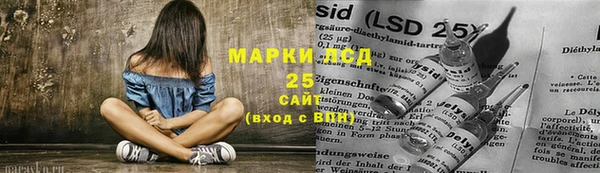 ГАЛЛЮЦИНОГЕННЫЕ ГРИБЫ Горняк
