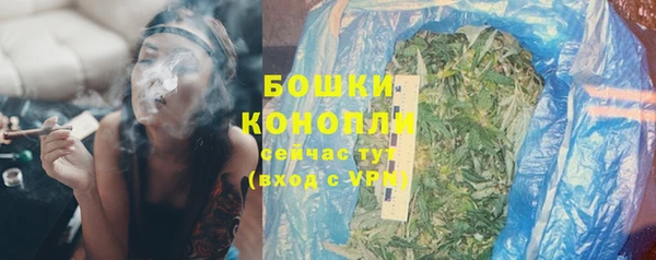 ГАЛЛЮЦИНОГЕННЫЕ ГРИБЫ Горняк