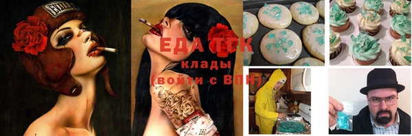 ГАЛЛЮЦИНОГЕННЫЕ ГРИБЫ Горняк