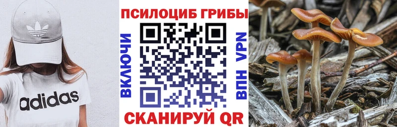 Галлюциногенные грибы ЛСД  Купить  Красноперекопск 